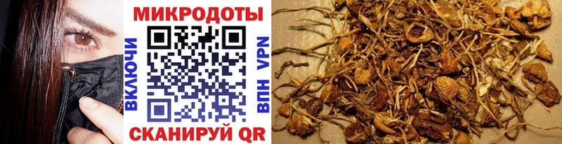 kraken сайт Пучеж Галлюциногенные грибы Psilocybe